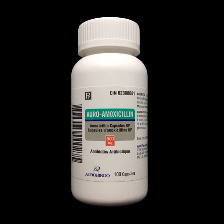 amoxicillin canada